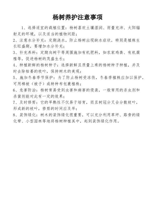 杨树养护注意事项