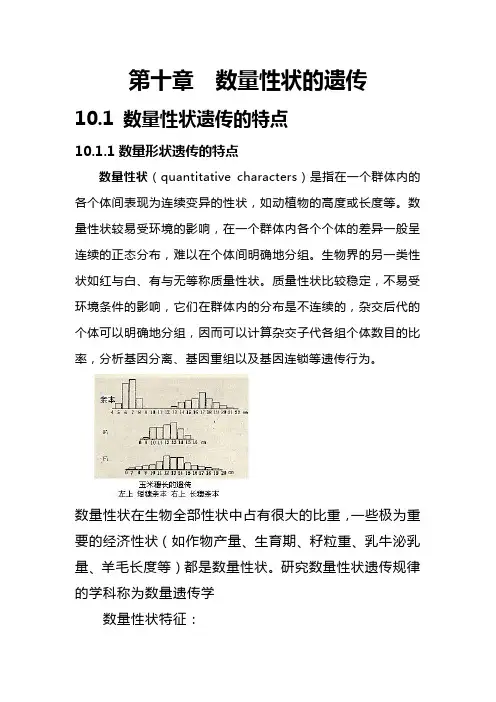 数量性状的遗传