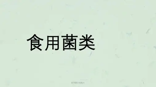食用菌介绍图片课件