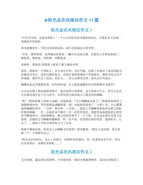 ★阳光总在风雨后作文11篇