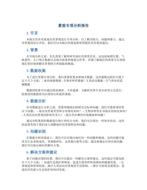 景观专项分析报告