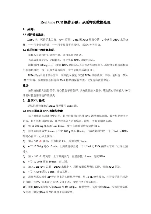 Real time PCR操作步骤：从采样到数据处理