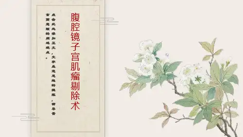腹腔镜下子宫肌瘤剔除术
