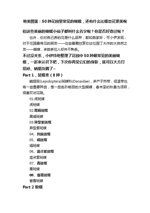 绝美图鉴：50种花园里常见的蝴蝶，还有什么比蝶恋花更美呢