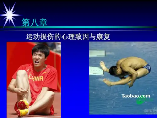 体育心理学---第八章  运动损伤的心理致因与康复(2)