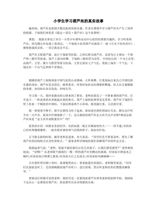 小学生学习葫芦丝的真实故事