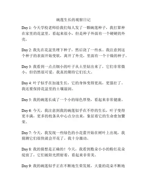 碗莲生长的观察日记