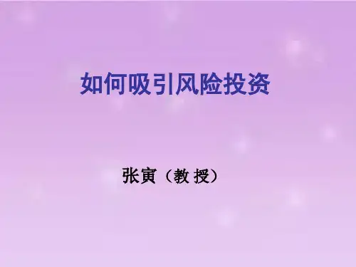 如何吸引风险投资共66页