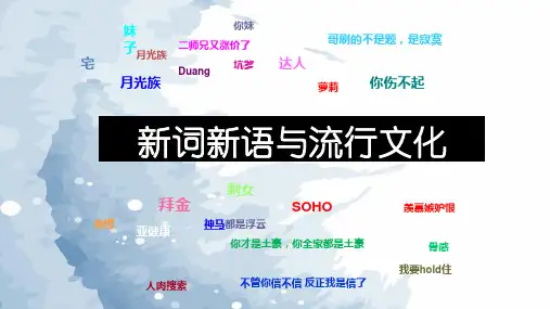 高中语文(公开课)新词新语与流行文化优秀课件