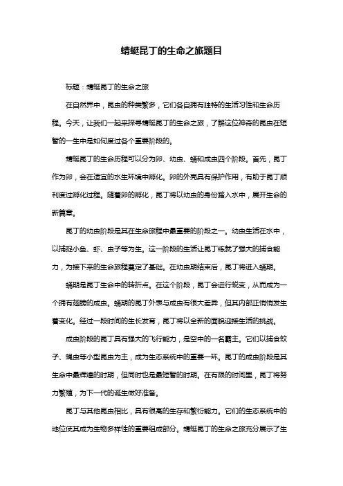蜻蜓昆丁的生命之旅题目