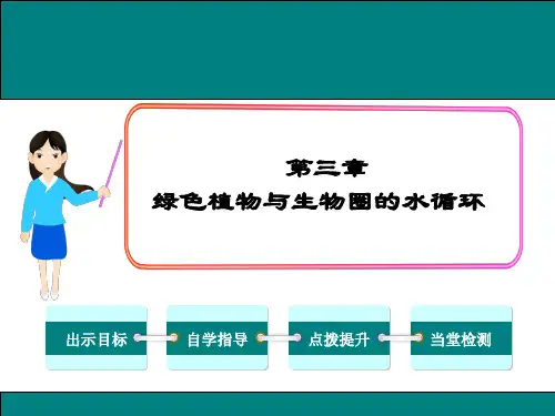 3.3  绿色植物与生物圈的水循环  课件(21张PPT)
