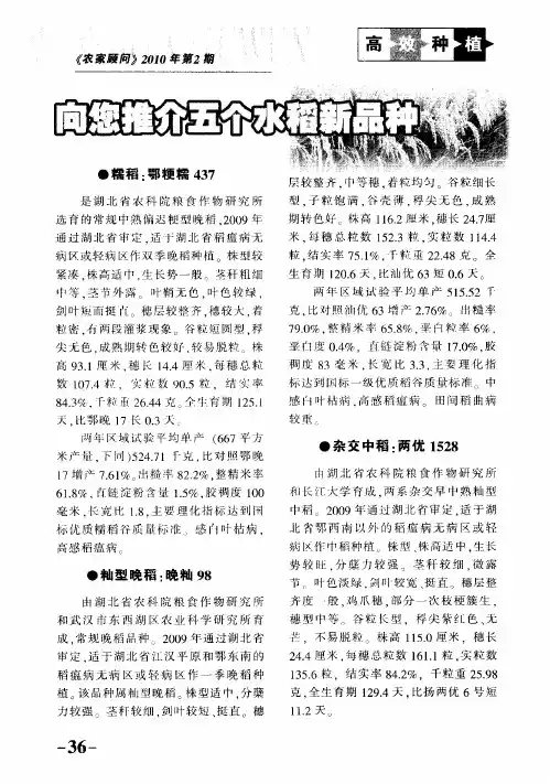 向您推介五个水稻新品种