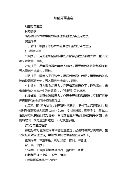 细菌分离鉴定