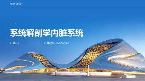 系统解剖学内脏系统