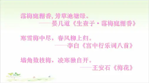 五年级下册语文ppt-梅花魂-优秀课件-人教部编版