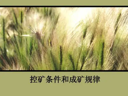 成矿规律
