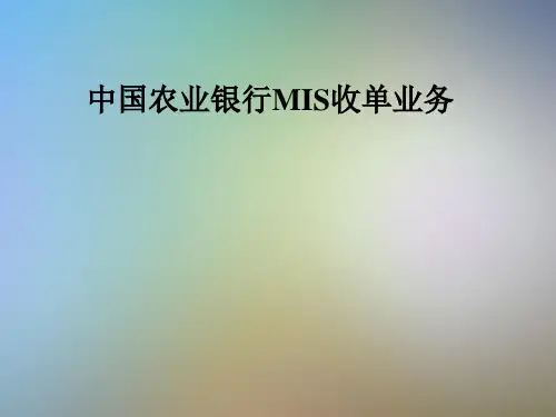 中国农业银行MIS收单业务