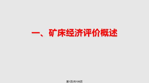 金属矿床经济技术评价PPT课件