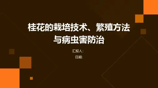 桂花的栽培技术、繁殖方法与病虫害防治