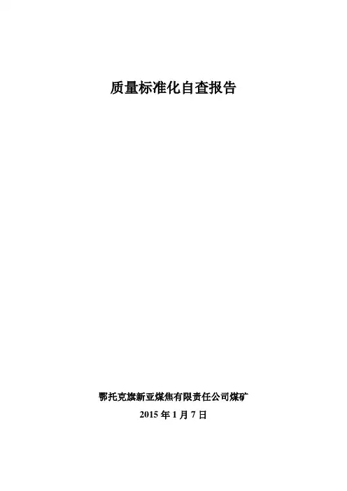 质量标准化自查报告