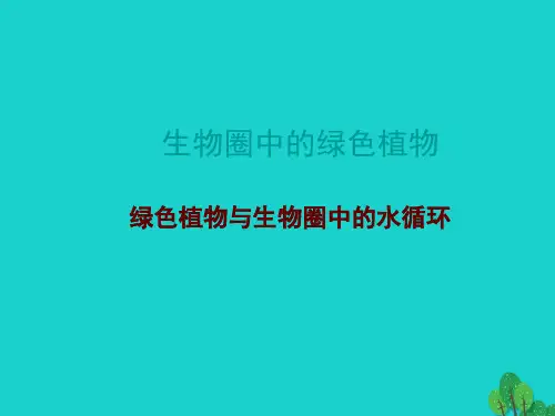 中考生物复习--绿色植物的生活方式-水循环课件