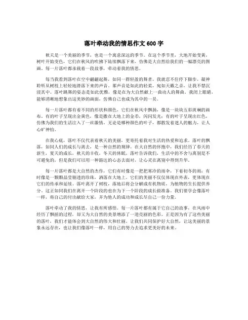 落叶牵动我的情思作文600字