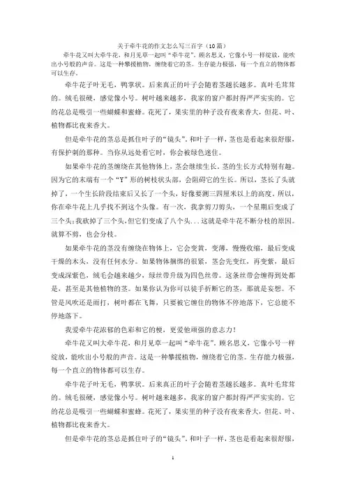 关于牵牛花的作文怎么写三百字(10篇)