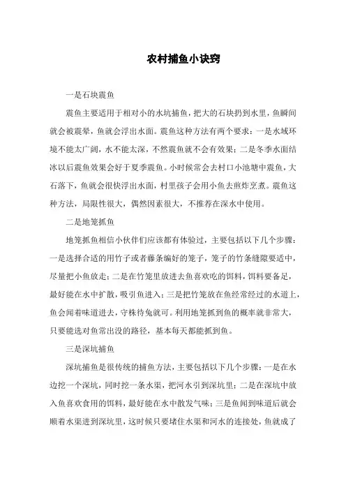农村捕鱼小诀窍