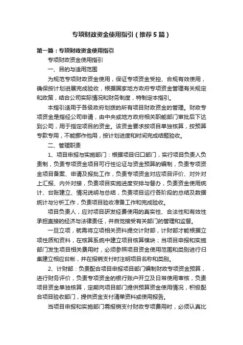 专项财政资金使用指引（推荐5篇）