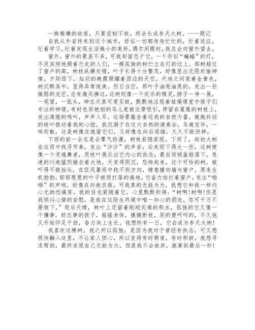 八年级写景类作文 :窗外怡人