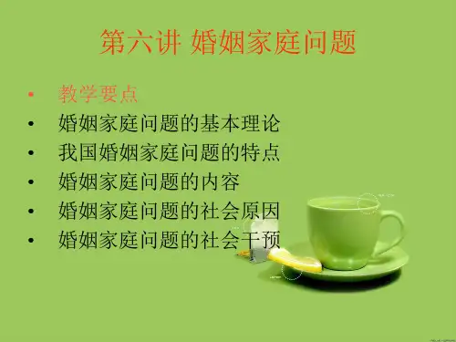 第六讲婚姻家庭问题总结