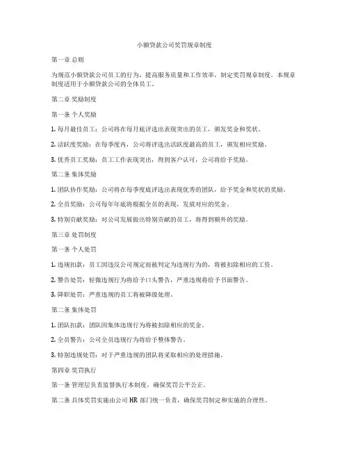 小额贷款公司奖罚规章制度