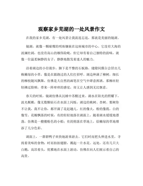 观察家乡芜湖的一处风景作文