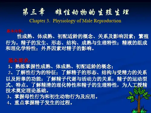 3第三章    雄性动物的生殖生理