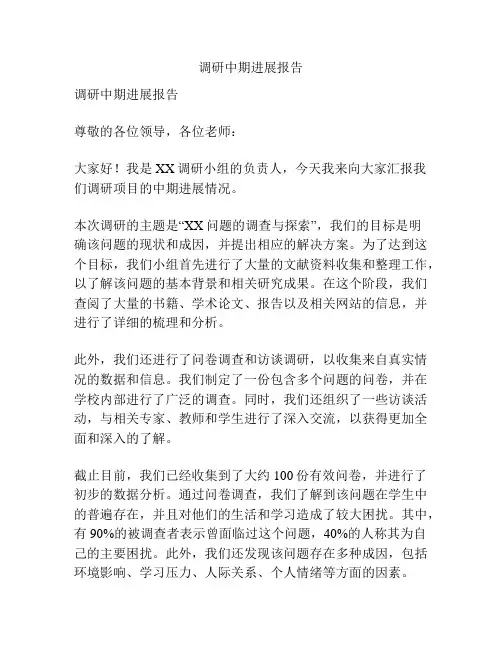 调研中期进展报告