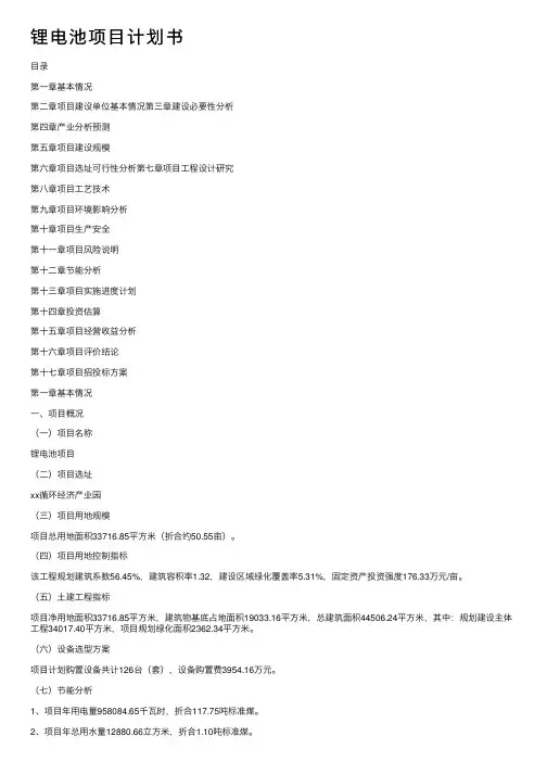 锂电池项目计划书