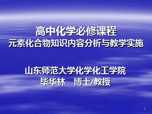 山东师范大学化学化工学院毕华林-博士教授PPT课件
