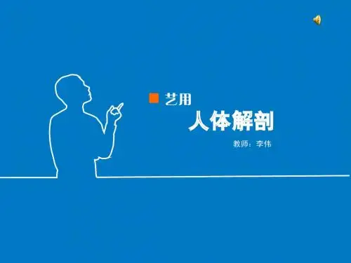 艺用人体解剖