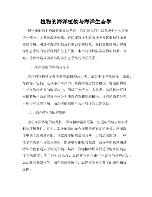 植物的海洋植物与海洋生态学