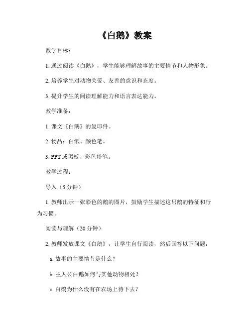 《白鹅》教案