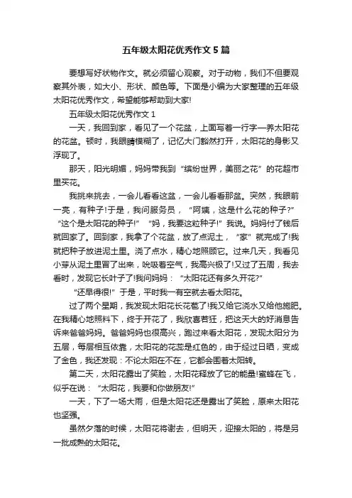 五年级太阳花优秀作文5篇
