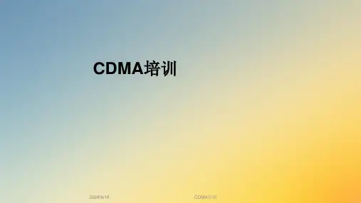 CDMA培训