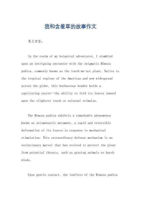 我和含羞草的故事作文