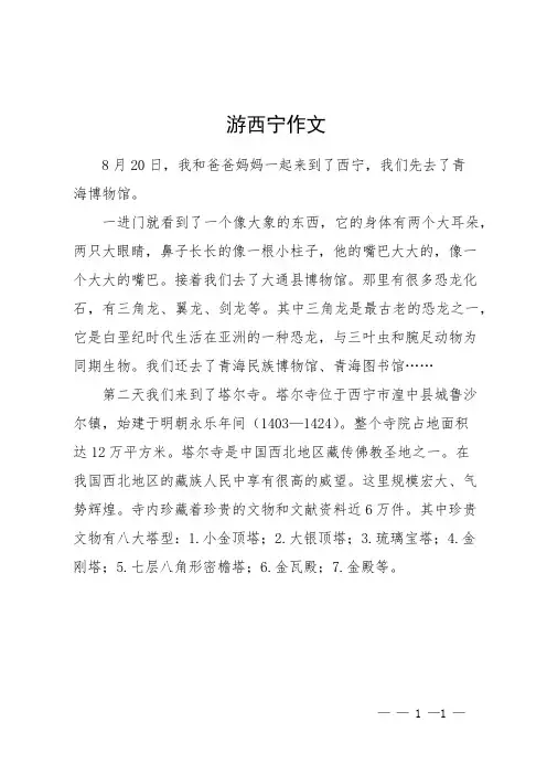 游西宁作文