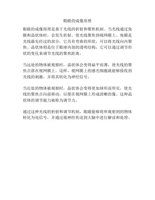 眼睛的成像原理