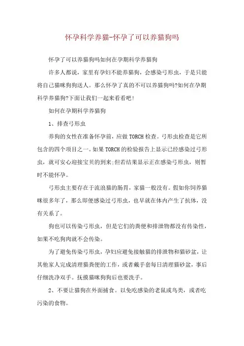 怀孕科学养猫-怀孕了可以养猫狗吗