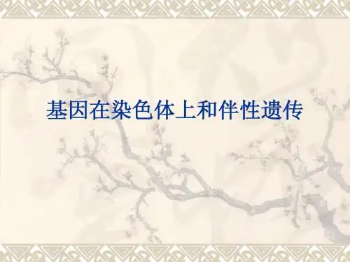 基因在染色体上和伴性遗传