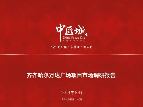 齐齐哈尔万达广场调研报告ppt课件