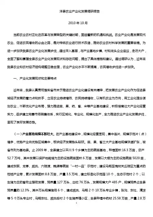 洋县农业产业化发展调研报告