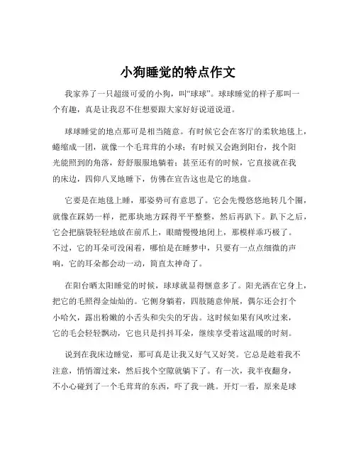 小狗睡觉的特点作文